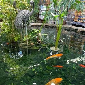 Character Development (Explicit)