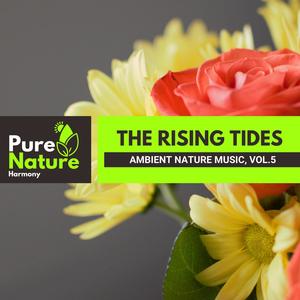 The Rising Tides - Ambient Nature Music, Vol.5