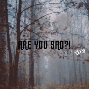 Are You Sad?!