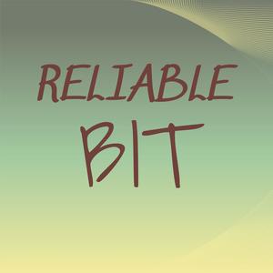 Reliable Bit