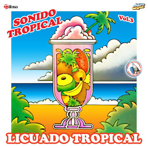Mosaico Tropical 4: Bota la Bata / Tu Mujer / Culu Cucu / a Mover la Colita / Quien Apagó la Luz / No Lo Dejes Caer