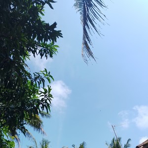 Lintang