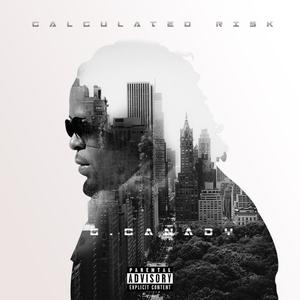 Calculated Risk (Explicit)