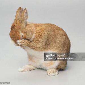 if i was born in 2007 i wouldnt have this problem