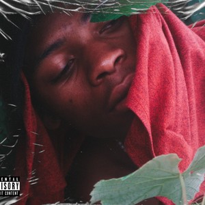 Perception (Explicit)