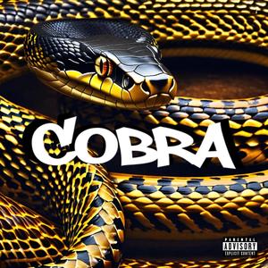 COBRA (Extended Version) [Explicit]