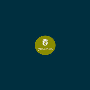 Transition Statements