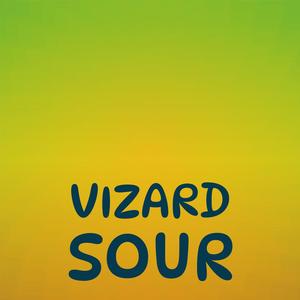 Vizard Sour