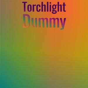 Torchlight Dummy