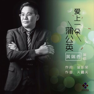 爱上一朵蒲公英 (男声版)