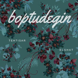 TEHTISAR - Boptu digin
