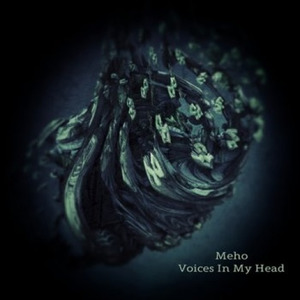 Voices In My Head