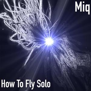 How To Fly Solo