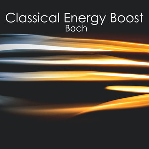 Violin Concerto No. 2 In E Major, BWV 1042 - J.S. Bach: Violin Concerto No. 2 In E Major, BWV 1042: III. Allegro assai