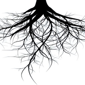 校车随笔（prod by 百川Rebellious）