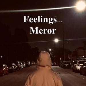 Feelings... (Explicit)