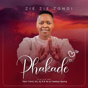 Phakade (feat. Pexi-Tonic SA, Dj 9.8 SA & Ceekay Musiq)