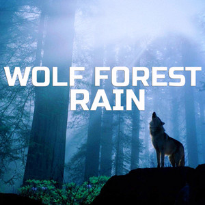 Wolf Forest Rain