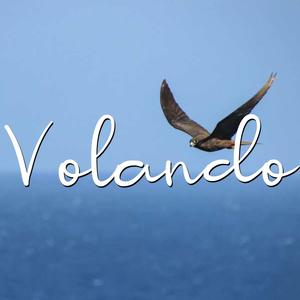 Volando (Special Version)
