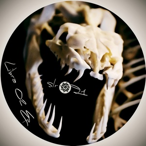 Libra (Riccardo M Rmx)