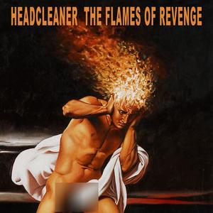 THE FLAMES OF REVENGE