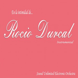 No Sirvo Para Estar Sin Ti