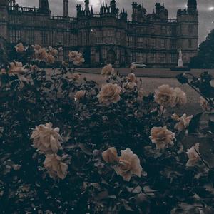 i dont want that many friends in the first place (feat. acti) (Explicit)