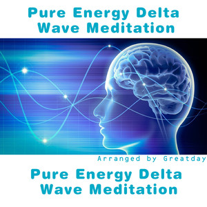 Pure Energy Delta Wave Meditation