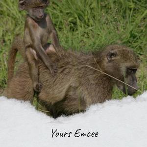 Yours Emcee