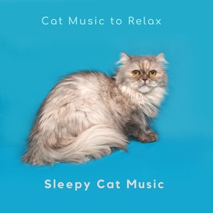 Cat Music to Relax