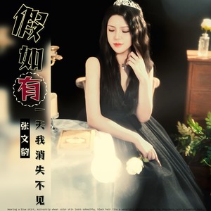 假如有一天我消失不见 (DJ逍遥版伴奏)