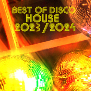 Best of Disco House 2023 - 2024