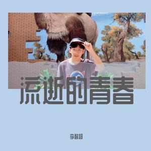 流逝的青春