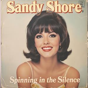 Spinning in the Silence