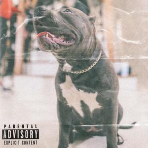 Scam (feat. 4Steppa & ScamBamWam) (Explicit)