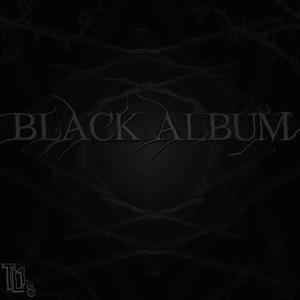 Black Album (Explicit)