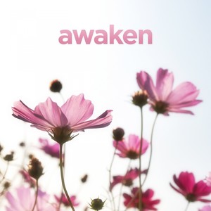 Awaken