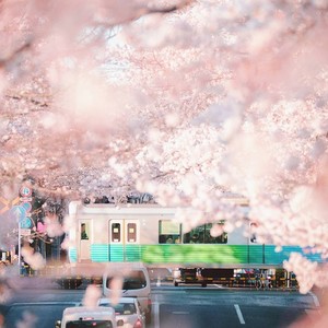 봄날