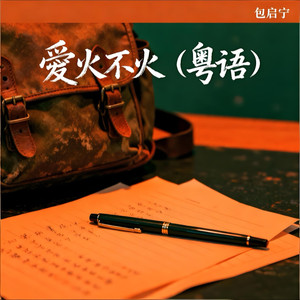 爱火不火封面