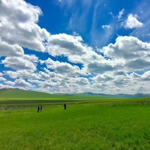 风吹草原我的家