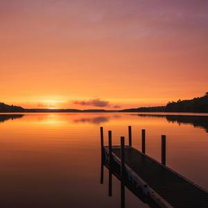 Solace