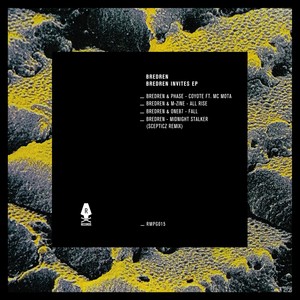 Midnight Stalker (Scepticz Remix)