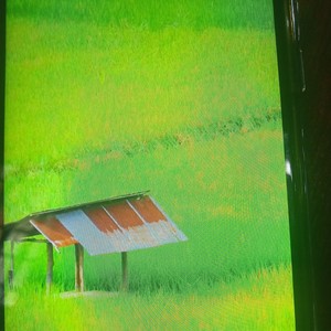 Hasna - Untuk menanti