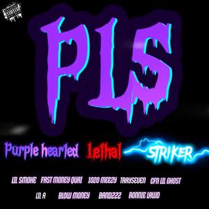 PLS (feat. Lil Smoke, Fastmoney Quai, 1020Meezy, Tray seven, CFN Lil Ghost, Lil A, Blow money & Bandzzz) (Explicit)