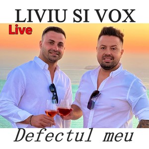 Defectul meu (Live)