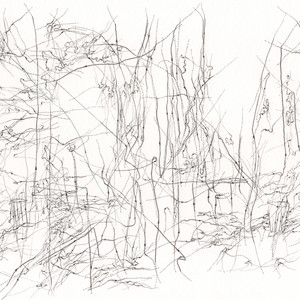 Neuma 3 (La noche)