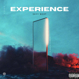 Experience (Explicit)