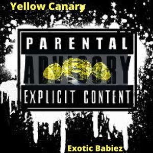 Yellow Canary (Explicit)