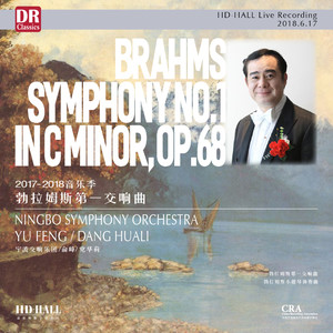 D大调小提琴协奏曲，作品77 - 第一乐章：不太快的快板 (Live)