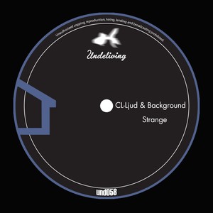 Strange (Enrico Bellan Remix)
